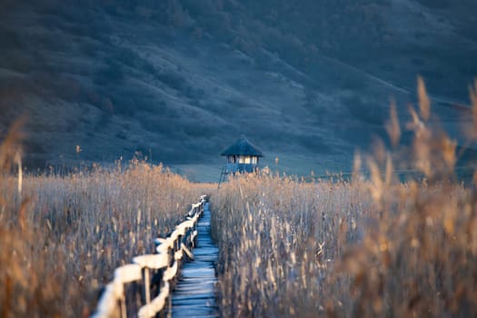 Old wooden boardwalk with a railing on the side and watchtower in the Sic reed reservation, Cluj , Romania