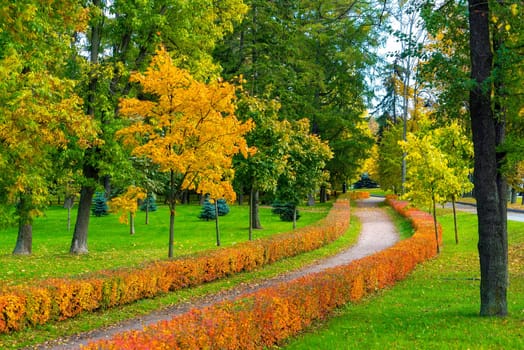A winding pedestrian path in the autumn park on Krestovsky Island. Saint Petersburg.
