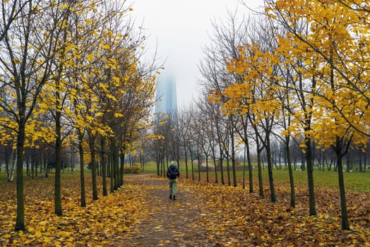 Autumn Park named after the 300th anniversary of St. Petersburg with a view of the Lakhta Center. Saint-Petersburg. Russia.
