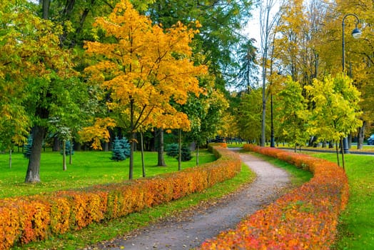 A winding pedestrian path in the autumn park on Krestovsky Island. Saint Petersburg.