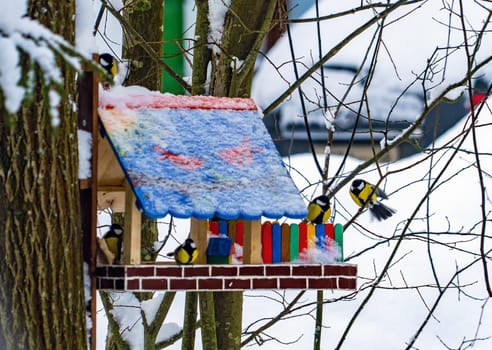 Chickadee birds sit on branches and in a colorful bird feeder in winter