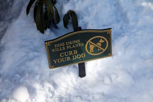 Dog urine kills plants, curb your dog green sign in the snow after a storm