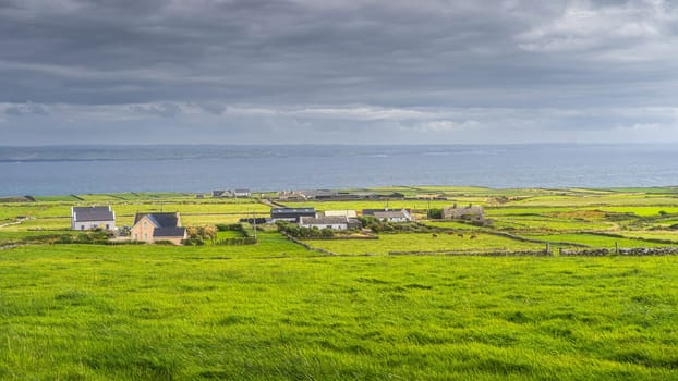 Fields with cattle, divided by stone walls surrounding small village on the edge of Cliffs of Moher, Wild Atlantic Way, County Clare, UNESCO, Ireland