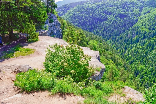 Lookout in Slovak Paradise National Park