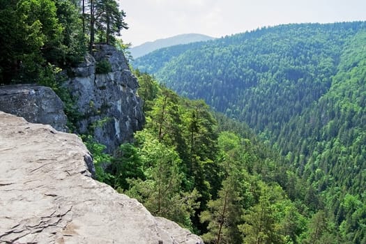 View from cliff in Slovak Paradise