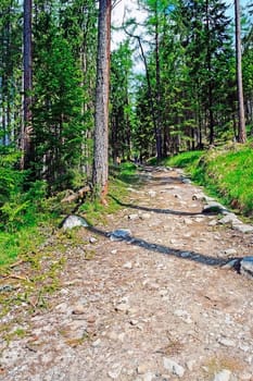 Tourist Path in High Tatra Mountains, Slovakia
