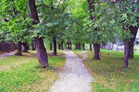 Park in summer with lookout