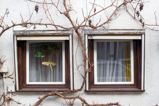 house in Witzenhausen in the Werra Valley in Germany, Hessen
