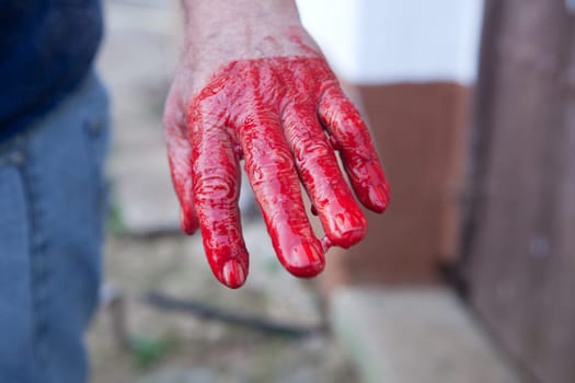 Traditional home slaughtering in a rural area. Farmer hand after stiring the blood