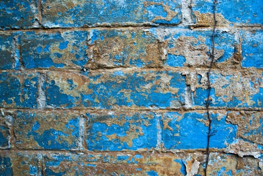 Blue old brick wall with vine and dry eyelids. Beautiful aged blue brick with grapevine on a sunny bright day.