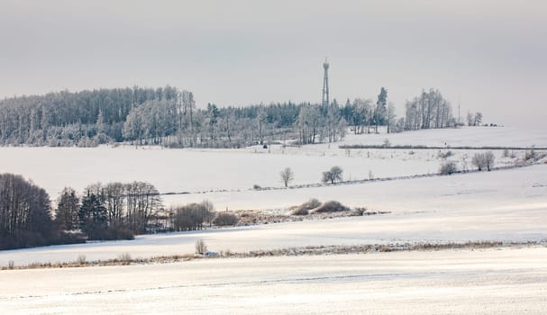 Tree covered by white snow Czech Republic, Vysocina region highland