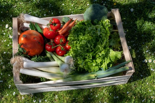 seasonal vegetables in a wooden crate