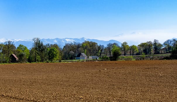 Plowed field with Pyrenees mountains in the background