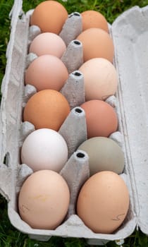 a Carton container with chicken eggs on the grass