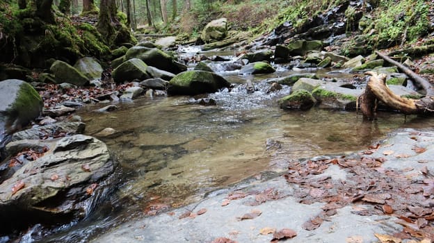 Landscape of a mountain river in the forest in early autumn and late summer. water in a natural stream. beautiful and relaxing forest with a river. River deep in mountain forest. Nature composition