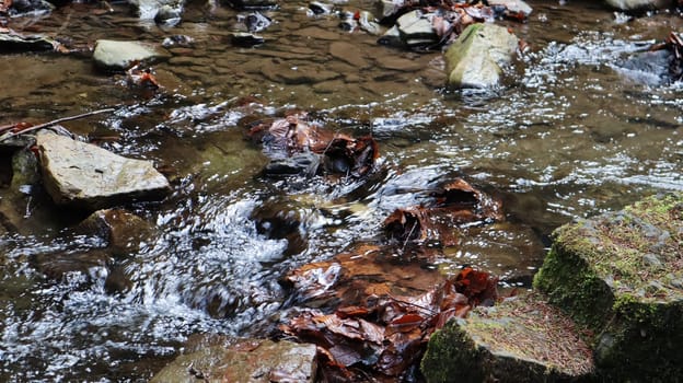 Landscape of a mountain river in the forest in early autumn and late summer. water in a natural stream. beautiful and relaxing forest with a river. River deep in mountain forest. Nature composition