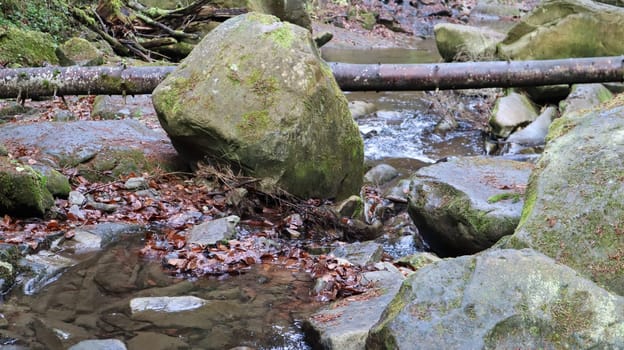 Landscape of a mountain river in the forest in early autumn and late summer. water in a natural stream. beautiful and relaxing forest with a river. River deep in mountain forest. Nature composition