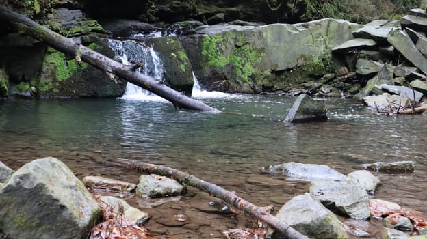 Landscape of a mountain river in the forest in early autumn and late summer. water in a natural stream. beautiful and relaxing forest with a river. River deep in mountain forest. Nature composition