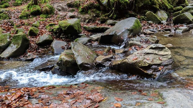 Landscape of a mountain river in the forest in early autumn and late summer. water in a natural stream. beautiful and relaxing forest with a river. River deep in mountain forest. Nature composition