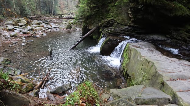 Landscape of a mountain river in the forest in early autumn and late summer. water in a natural stream. beautiful and relaxing forest with a river. River deep in mountain forest. Nature composition