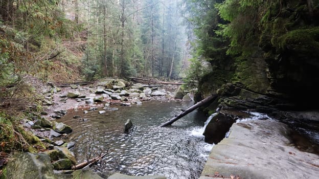 Landscape of a mountain river in the forest in early autumn and late summer. water in a natural stream. beautiful and relaxing forest with a river. River deep in mountain forest. Nature composition