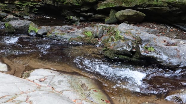Landscape of a mountain river in the forest in early autumn and late summer. water in a natural stream. beautiful and relaxing forest with a river. River deep in mountain forest. Nature composition