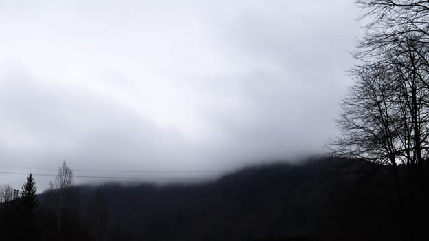 Autumn rain and fog on the mountain hills. Misty autumn forest covered with low clouds. Ukraine. Spruce forest trees on the hills of mountains sticking through the morning fog over autumn landscapes