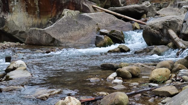 Landscape of a mountain river in the forest in early autumn and late summer. water in a natural stream. beautiful and relaxing forest with a river. River deep in mountain forest. Nature composition