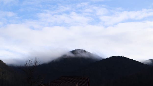 Autumn rain and fog on the mountain hills. Misty autumn forest covered with low clouds. Ukraine. Spruce forest trees on the hills of mountains sticking through the morning fog over autumn landscapes