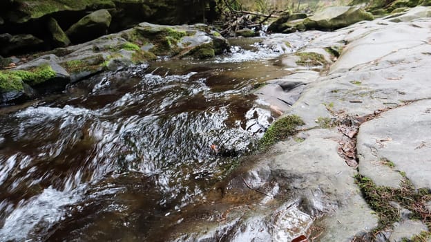 Landscape of a mountain river in the forest in early autumn and late summer. water in a natural stream. beautiful and relaxing forest with a river. River deep in mountain forest. Nature composition