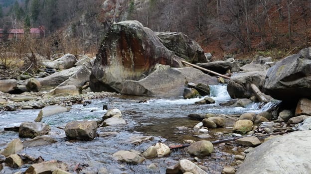 Landscape of a mountain river in the forest in early autumn and late summer. water in a natural stream. beautiful and relaxing forest with a river. River deep in mountain forest. Nature composition