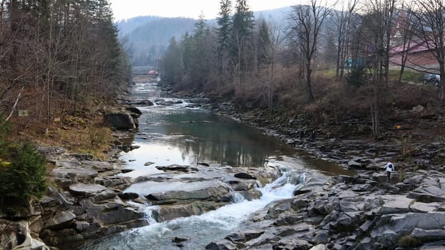 Landscape of a mountain river in the forest in early autumn and late summer. water in a natural stream. beautiful and relaxing forest with a river. River deep in mountain forest. Nature composition