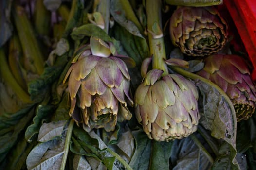 Artichokes are displayed with lush green leaves at a bustling market, inviting shoppers in the morning light.