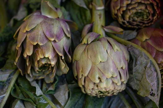 Two artichokes display their textured layers against lush green leaves at a bustling market in the morning light.