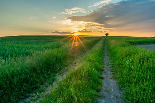 Sunset star over the field with the road, Staw, Poland