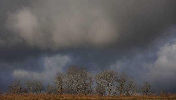 Panorama of landscape with trees and heavy clouds