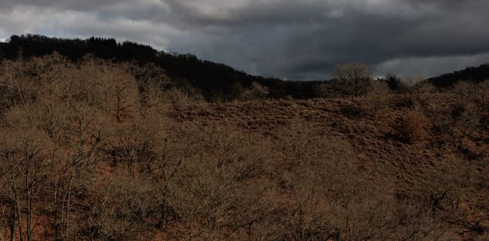 Panorama of landscape with forest