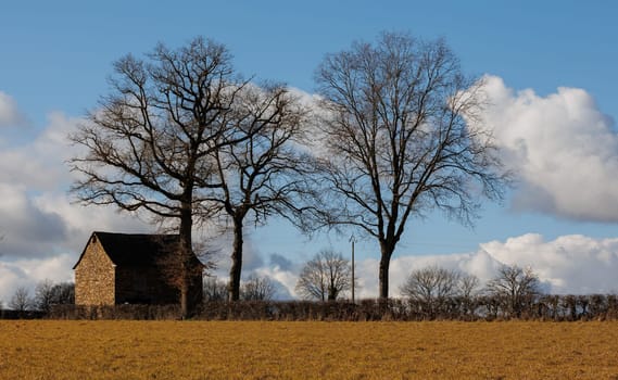 Landscape with old house and trees