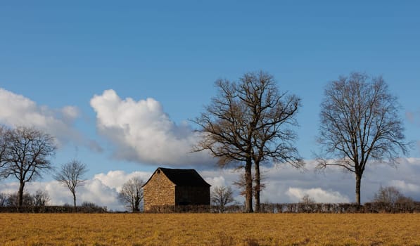 Landscape with old house and trees