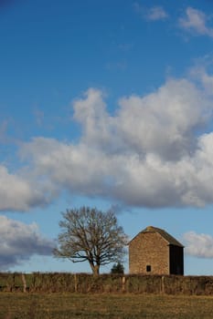 Landscape with old house and tree