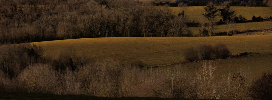 Field in sunset with yellow colors countryside
