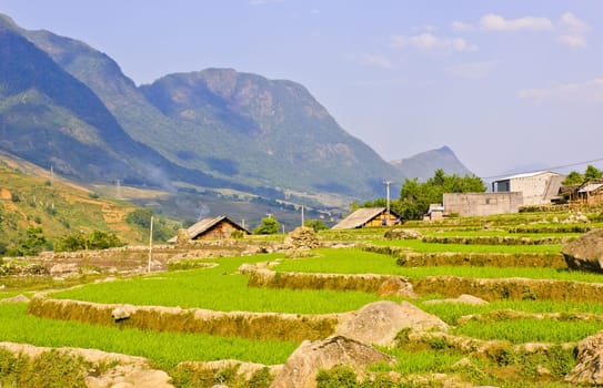Scenic of rice terraced fields in Sapa, Vietnam