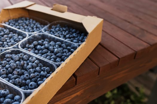 Box, crate or container with collected fresh blueberries. Berries agriculture business. Farmer cultivating and harvesting blueberry. Horticulture industry. Brown wooden boards background