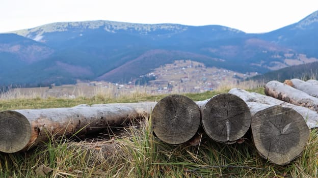 Autumn landscape in the Carpathians with mountain peaks and felled tree trunks. The concept of ecology and illegal deforestation in western Ukraine