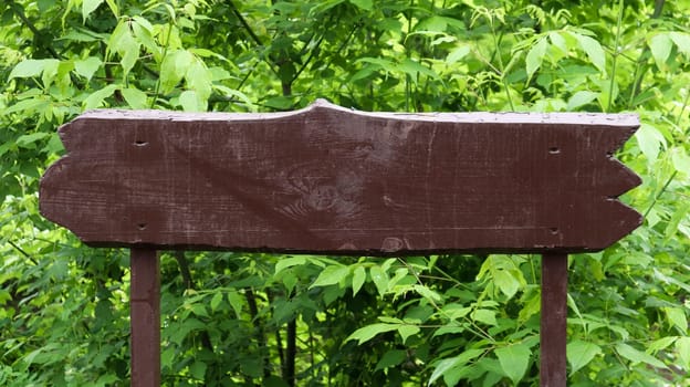 Wooden brown sign on a background of green leaves, bushes and trees in a park or forest. Place for your text or logo, advertisement. Copy space. Blank, blank sign