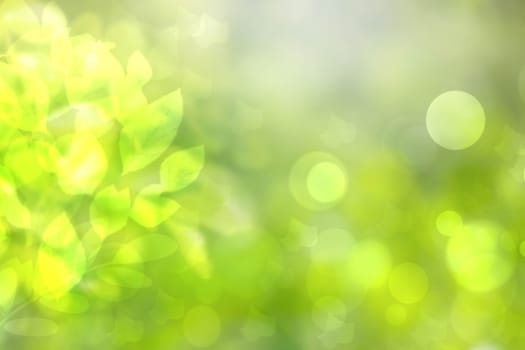 Abstract gradient green light and yellow colorful pastel spring or summer bokeh background with leaves and circular lights. Beautiful texture.