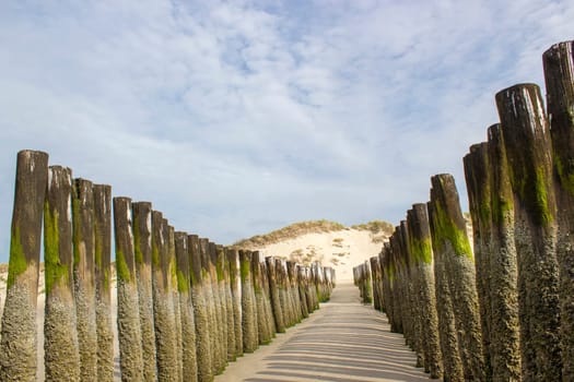 Wave breaker made of wooden stakes on the beach, Haamstede, Zeeland, Netherlands
