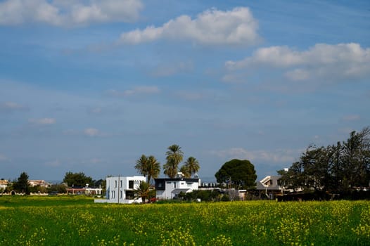 A charming white house stands amidst a field of bright yellow flowers under a bright blue sky with fluffy clouds.