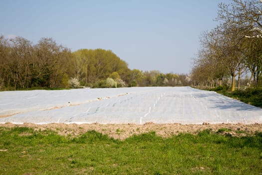As nonwovens, slotted or perforated films, in foil tunnels or as fine nets not only for farmers