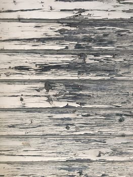 wood texture background surface with old natural pattern